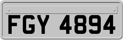 FGY4894