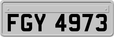 FGY4973