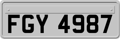 FGY4987