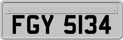 FGY5134