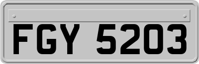 FGY5203