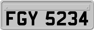 FGY5234
