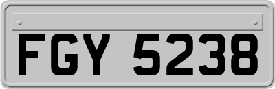 FGY5238