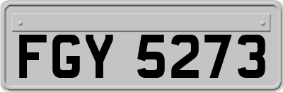 FGY5273