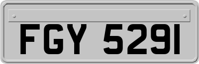 FGY5291
