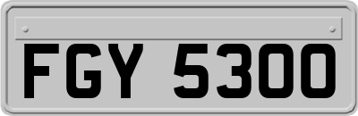 FGY5300