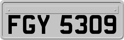 FGY5309