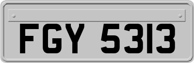FGY5313