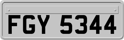 FGY5344