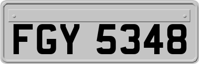 FGY5348