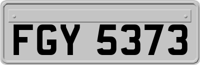 FGY5373