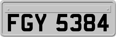 FGY5384