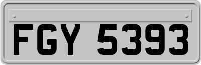 FGY5393