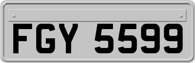 FGY5599