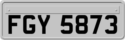 FGY5873