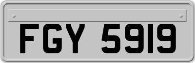 FGY5919
