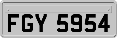 FGY5954
