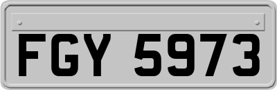 FGY5973