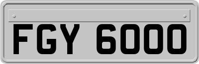 FGY6000
