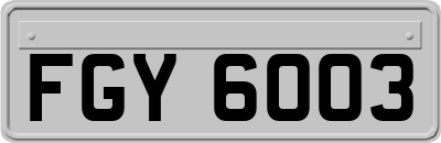 FGY6003