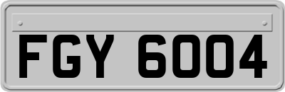 FGY6004