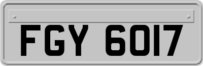 FGY6017