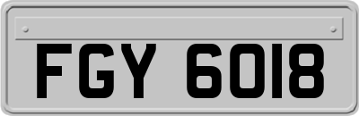 FGY6018