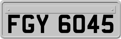 FGY6045