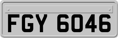 FGY6046