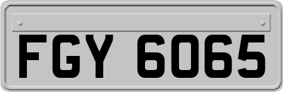 FGY6065
