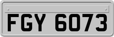 FGY6073