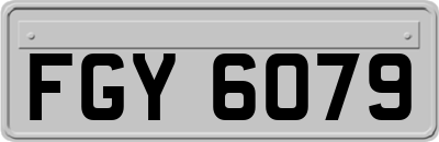 FGY6079