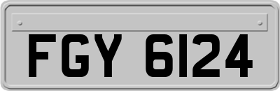 FGY6124