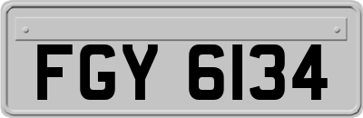 FGY6134