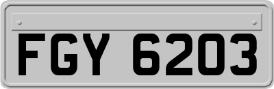 FGY6203