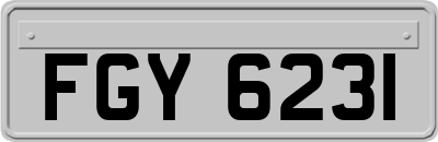 FGY6231