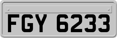 FGY6233