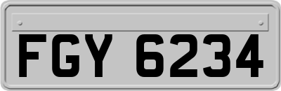 FGY6234