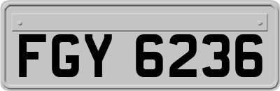 FGY6236
