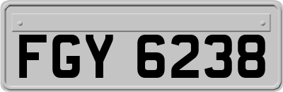 FGY6238