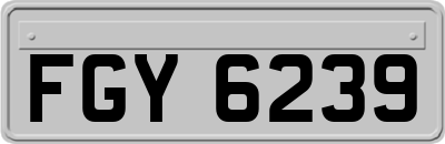 FGY6239