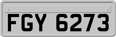 FGY6273