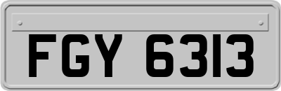 FGY6313