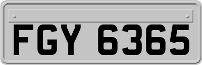 FGY6365