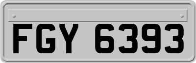 FGY6393