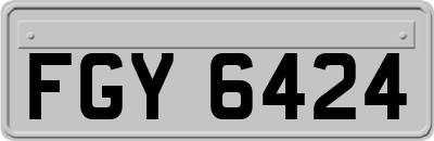 FGY6424