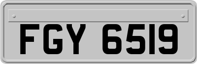 FGY6519