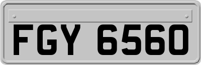 FGY6560