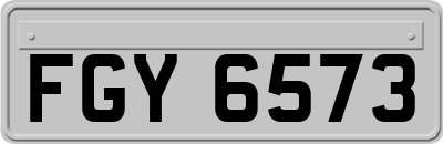 FGY6573