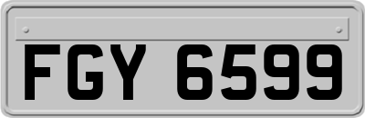 FGY6599